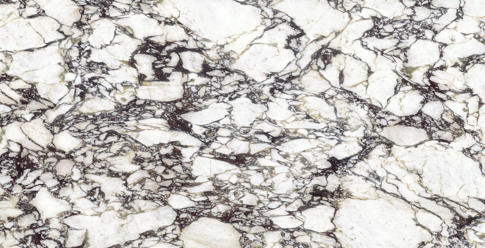 Viola Oro Lucciare Quartz swatch